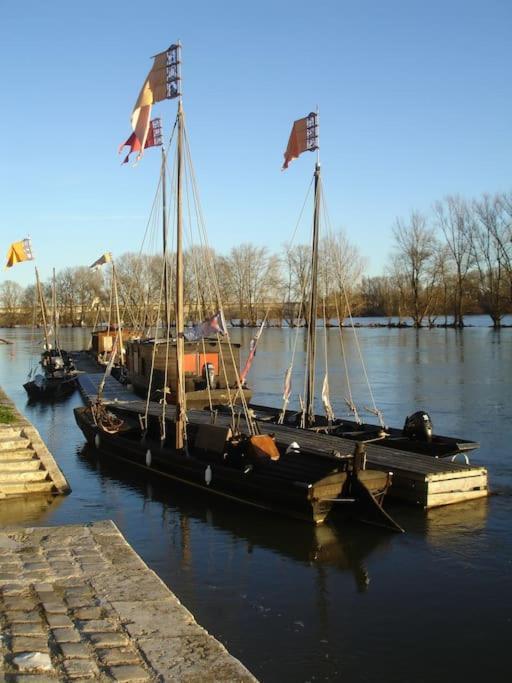 Appart Gite Les Oiseaux- Face Loire Quai Du Chatelet Orléans Extérieur photo