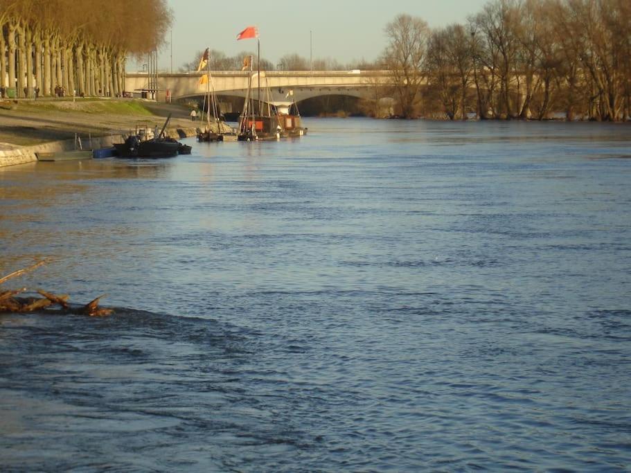 Appart Gite Les Oiseaux- Face Loire Quai Du Chatelet Orléans Extérieur photo
